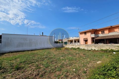 Terra a Melendugno, Lecce, Melendugno - € 65.000 | Ref: SE003 - foto 5